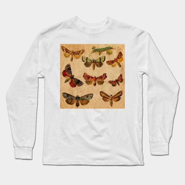 Butterfly Long Sleeve T-Shirt by My Artsam